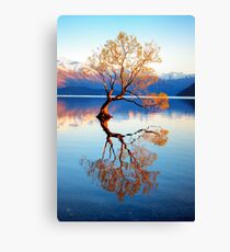 That Wanaka Tree Canvas Print