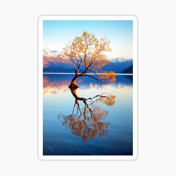 Item preview, That Wanaka Tree designed and sold by Adrian Greig.