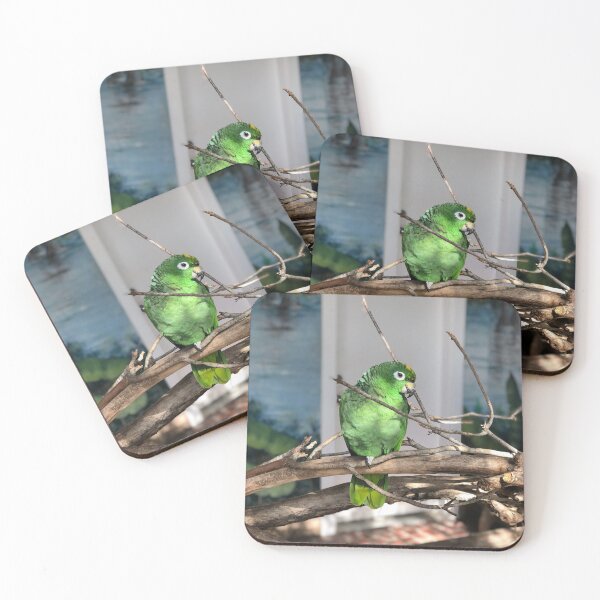 Item preview, Photogenic bird designed and sold by QueenLillypad.