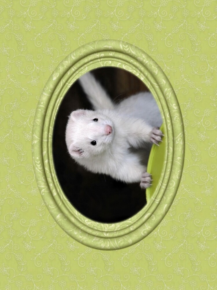 Ferret Sprin iPhone Case by Marie-Agnes