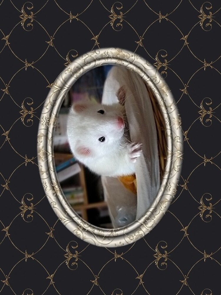 Ferret iPhone Case by Marie-Agnes