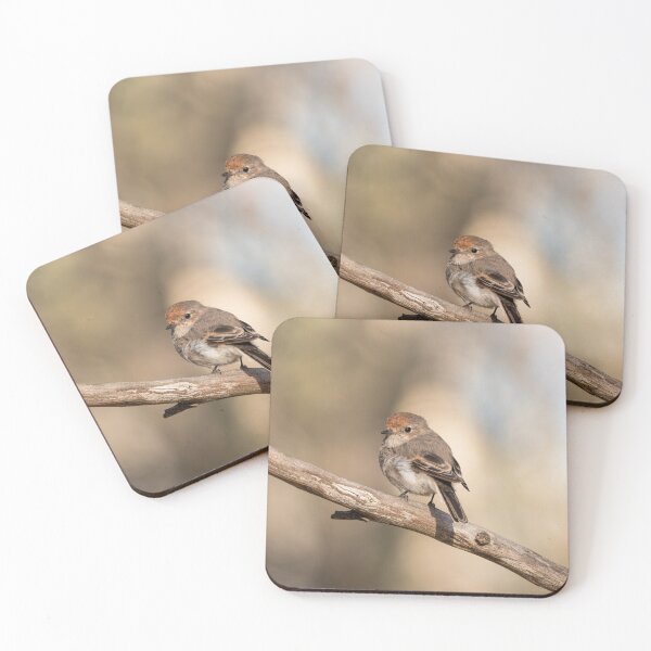 Item preview, Female Red-capped Robin designed and sold by Ladyshark.