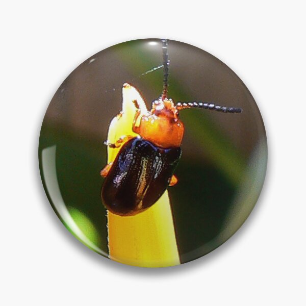 Item preview, Heliconia Beetle designed and sold by Graeme  Hyde.