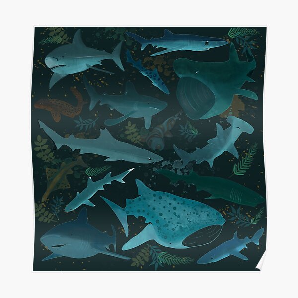 Sharks Attack Poster