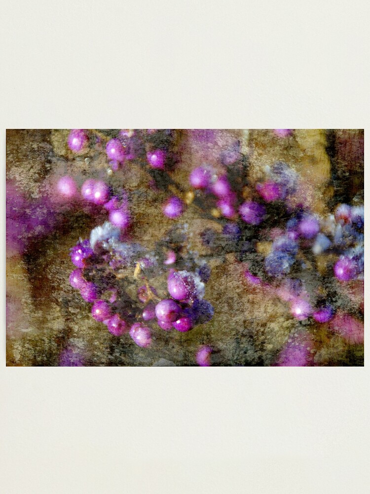 Alternate view of strength Photographic Print