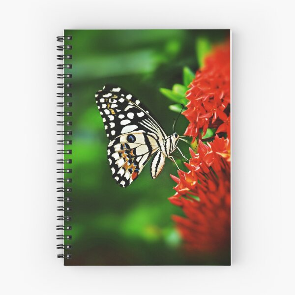 Item preview, Beautiful Butterfly on Red Flowers designed and sold by enhan.