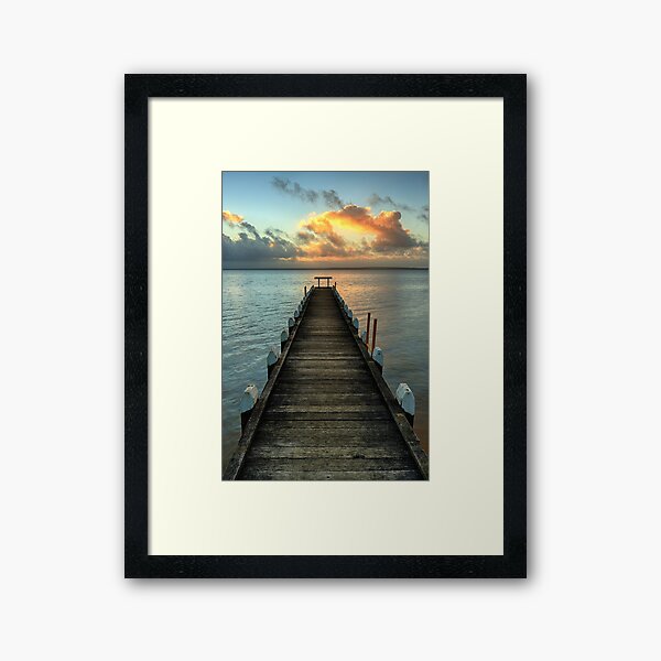 Framed Print