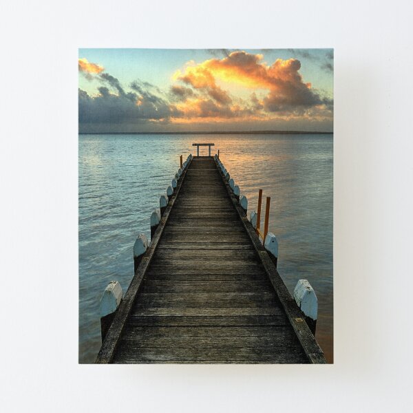 Canvas Mounted Print