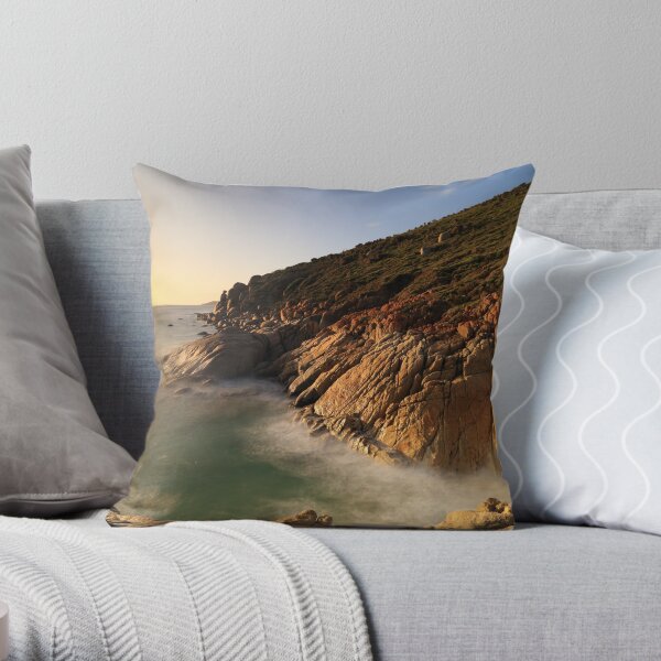 Throw Pillow