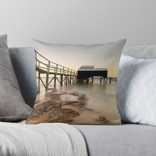 Throw Pillow