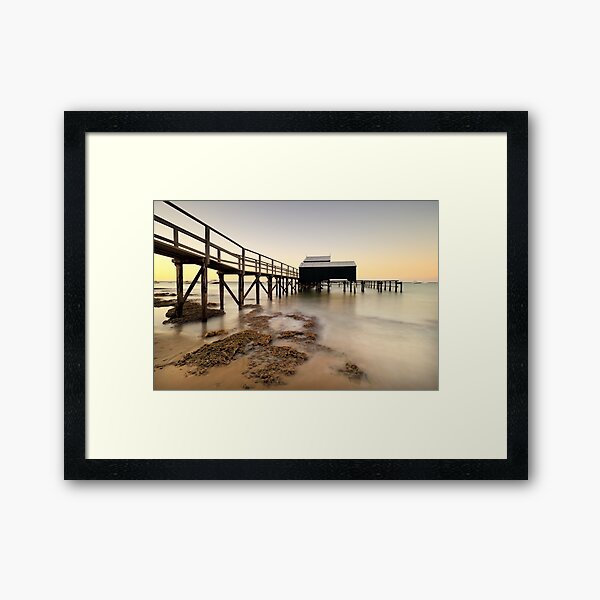 Framed Print