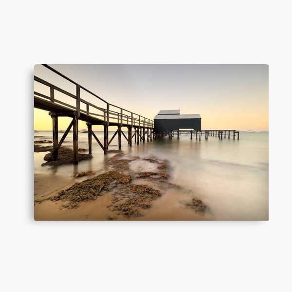 Metal Print
