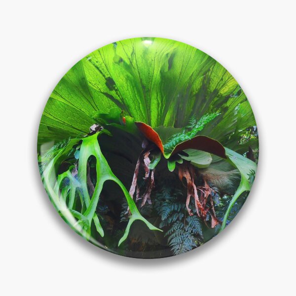 Item preview, Stag Horn Fern designed and sold by Margaret Stevens.