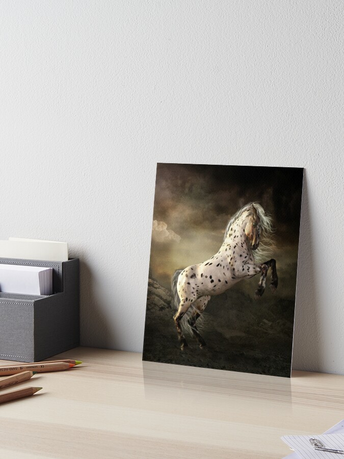 Appaloosa Horse Rearing | Art Board Print