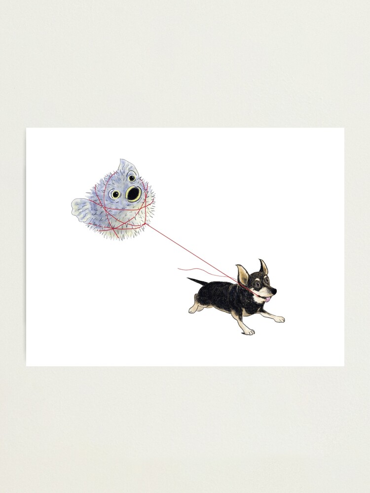 Alternate view of Pufferpup Photographic Print
