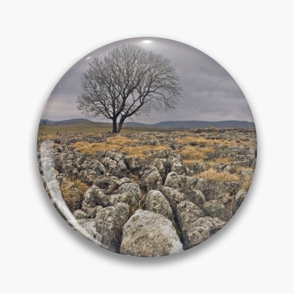 Item preview, Solitary Tree Malham Moor Yorkshire Dales National Park designed and sold by Cameranick.