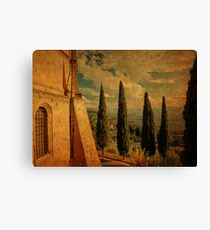 Cypress Family-Pienza, Tuscany Canvas Print