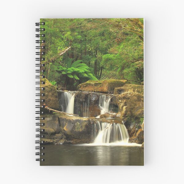 Item preview, Flowerdale River , Nor West Tasmania designed and sold by phillip wise.