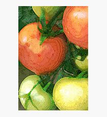 Ripe Photographic Print