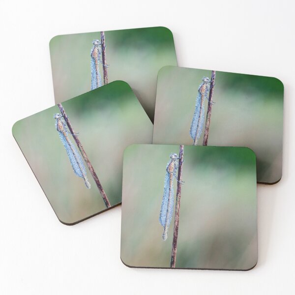 Item preview, Common Blue Damselfly covered in dew designed and sold by Cameranick.