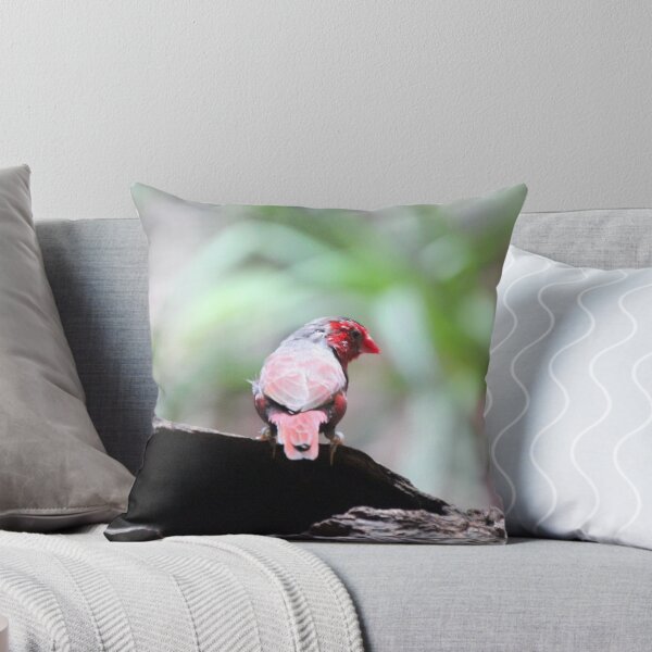 Artikelvorschau, Crimson Finch entworfen und verkauft von Asoka.
