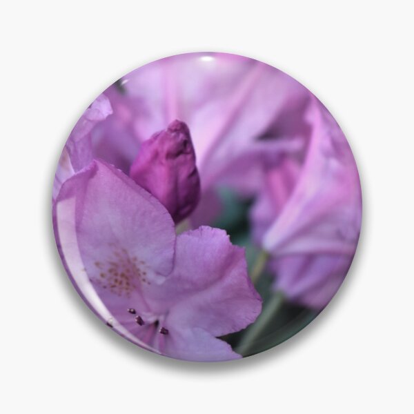 Item preview, Spring Beauty designed and sold by RVogler.