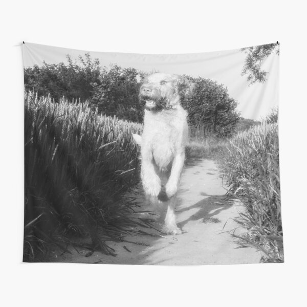 Where did that bird go Spinone Tapestry