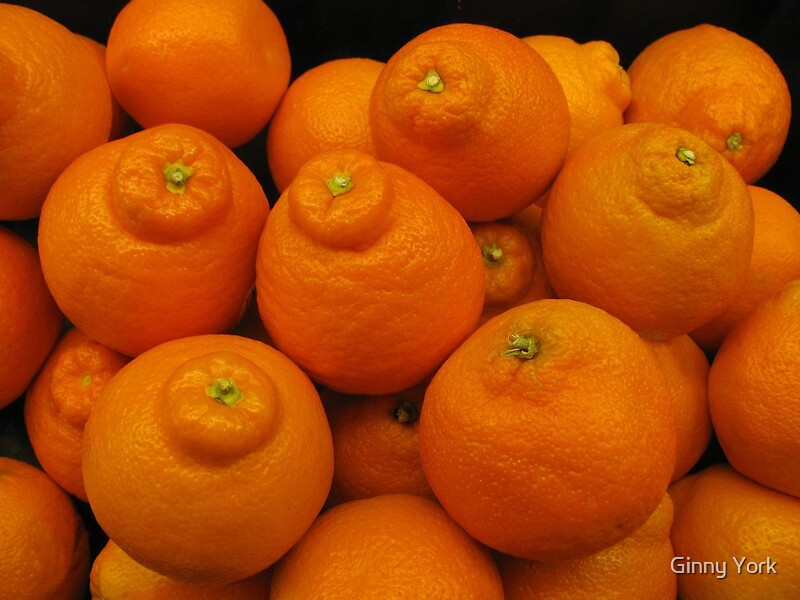 "Minneola Oranges" by Ginny York Redbubble