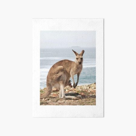Item preview, Kangaroo with baby in a pouch in the wild designed and sold by AliMoe1993.