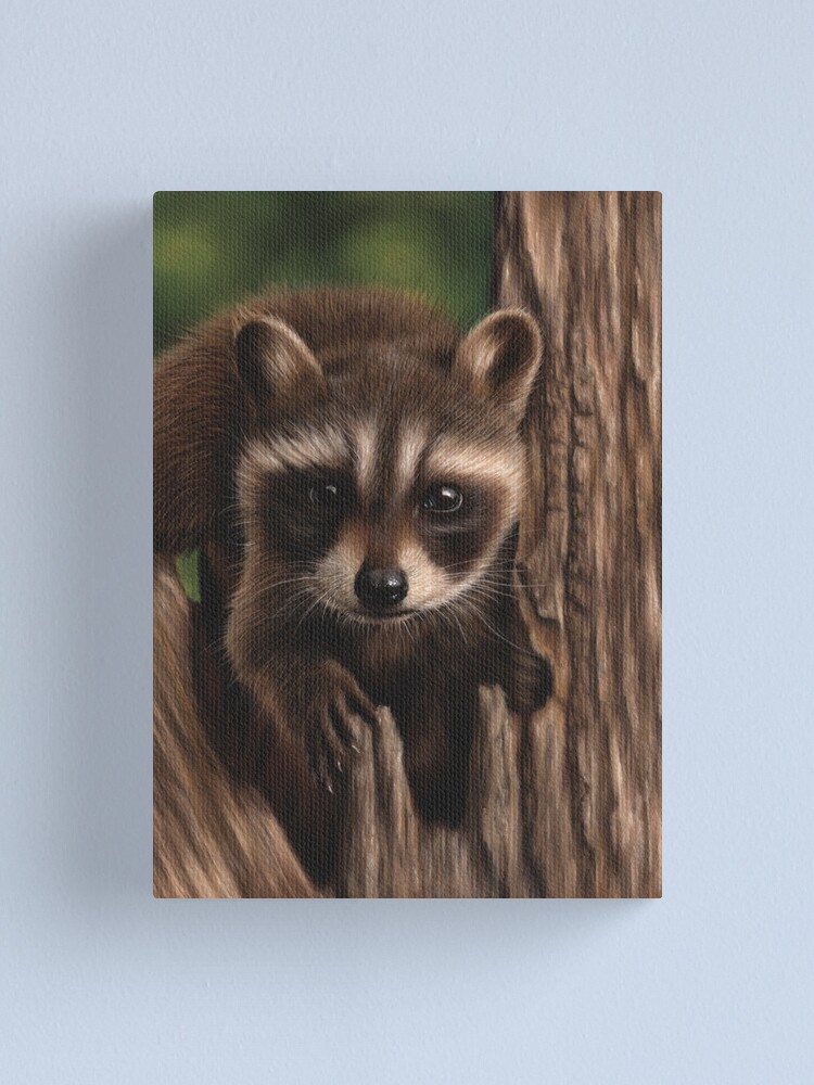 Alternate view of Raccoon portrait Canvas Print