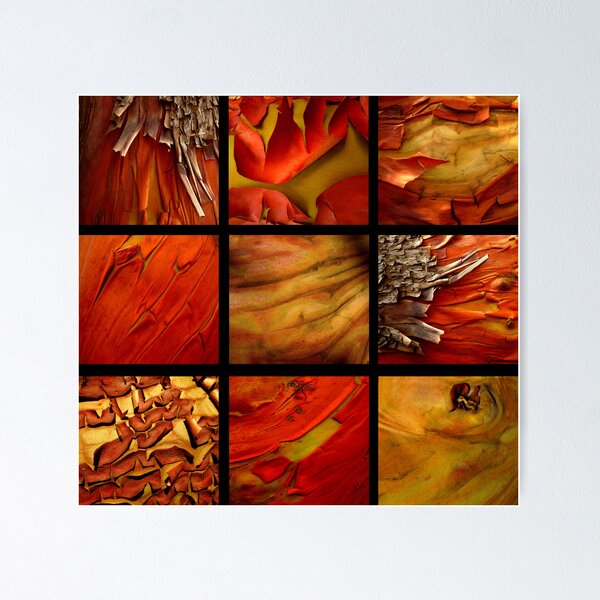 Item preview, Arbutus Collection designed and sold by katrinekaarse.