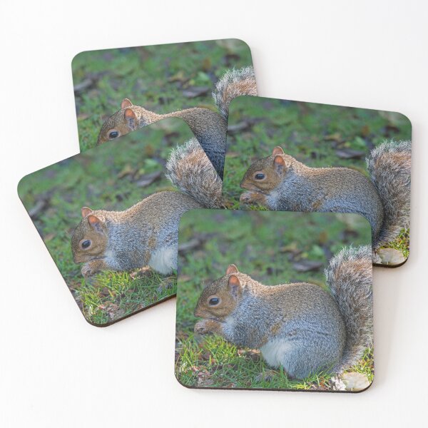Item preview, Grey Squirrel Close Up Eating designed and sold by Cameranick.