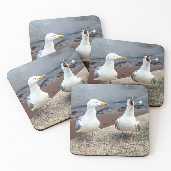 Item preview, Two Gulls One Squawker on a seawall at Paignton, Devon. designed and sold by Cameranick.