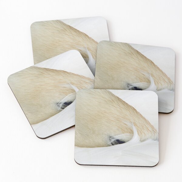 Item preview, Sleeping Swan with head folded under wing on a nearby lake in south Wales designed and sold by Cameranick.