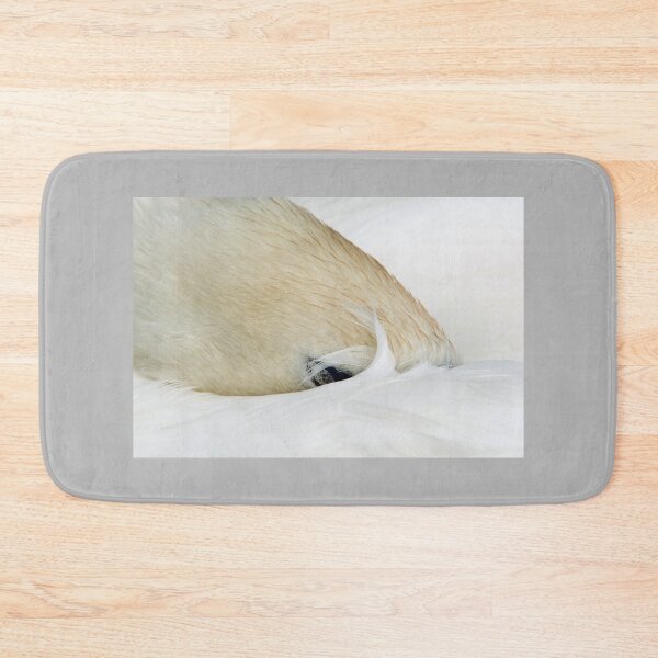 Item preview, Sleeping Swan with head folded under wing on a nearby lake in south Wales designed and sold by Cameranick.