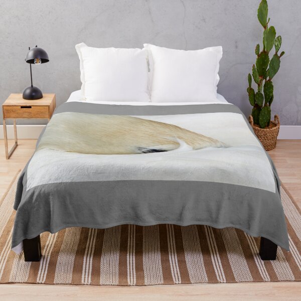 Item preview, Sleeping Swan with head folded under wing on a nearby lake in south Wales designed and sold by Cameranick.
