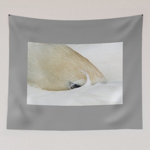 Item preview, Sleeping Swan with head folded under wing on a nearby lake in south Wales designed and sold by Cameranick.