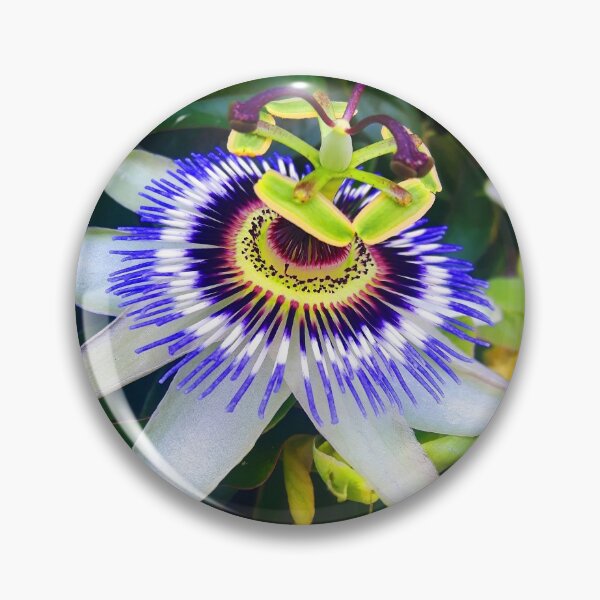 Item preview, Purple Passionflower designed and sold by helengarvey.
