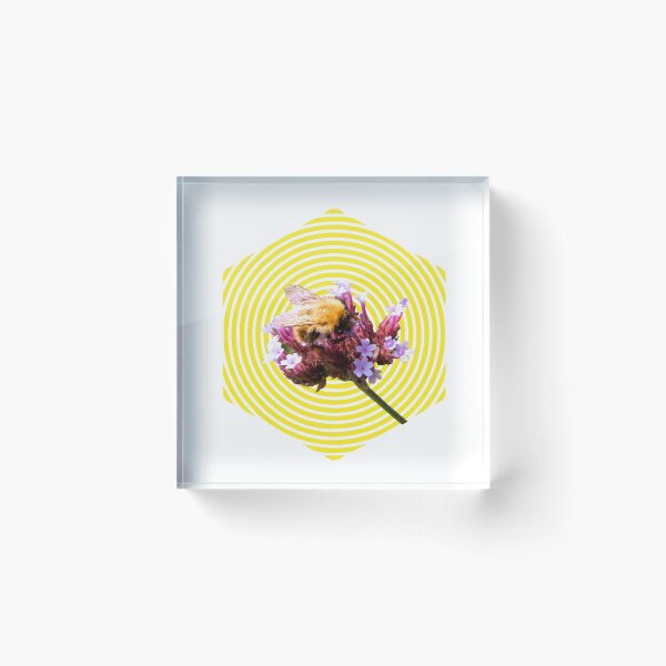 Item preview, Bee - hexagon designed and sold by helengarvey.