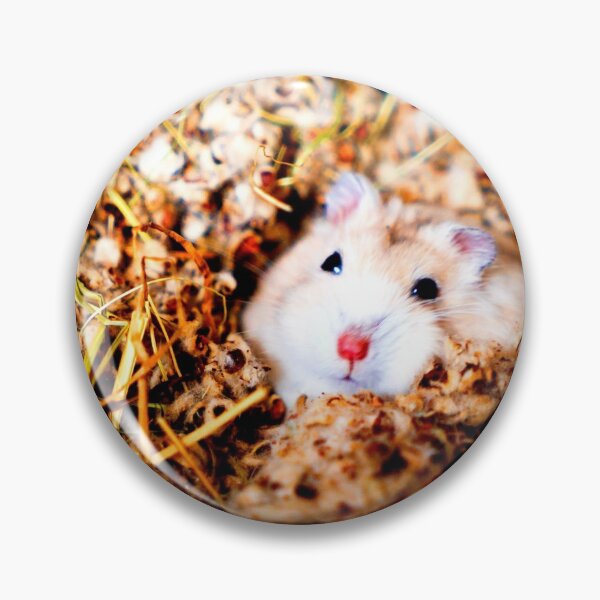 Item preview, Kawaii Hamster Photo designed and sold by Peonyee.