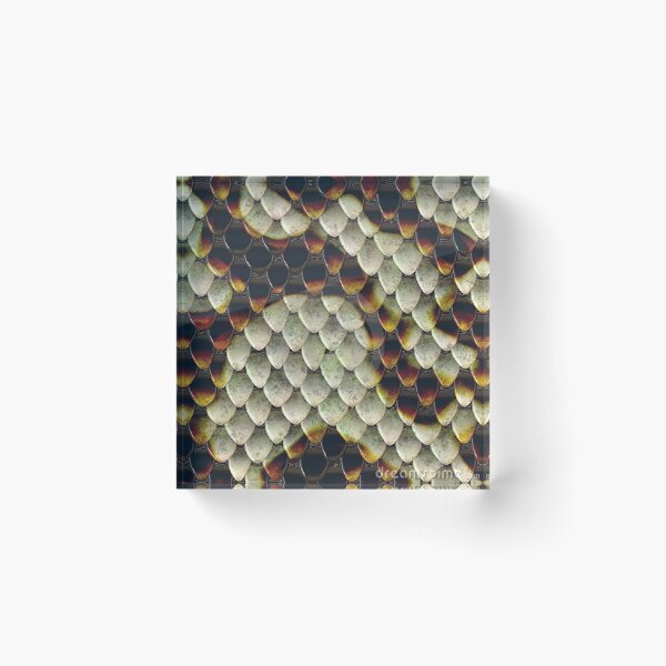 Item preview, Snake skin imitation designed and sold by philippe souvy.