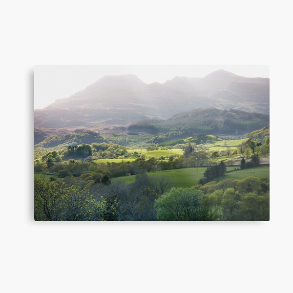 The Moelwyns in spring Metal Print