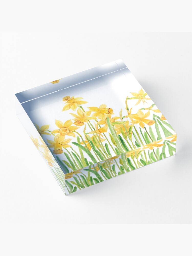 Alternate view of yellow daffodils field watercolor Acrylic Block