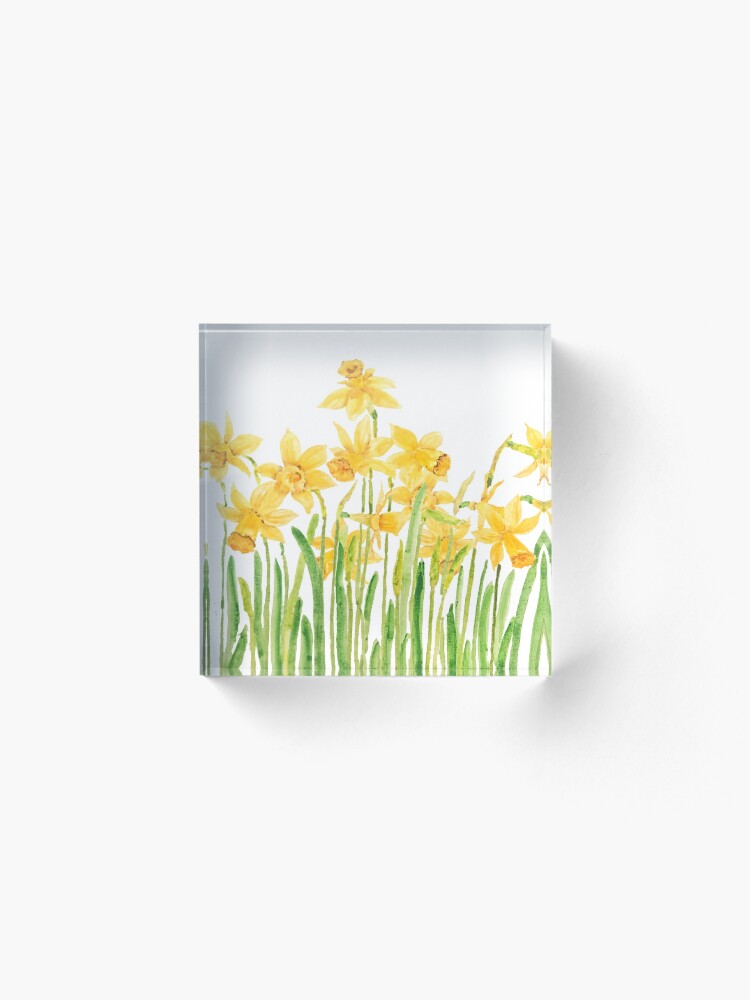 Alternate view of yellow daffodils field watercolor Acrylic Block