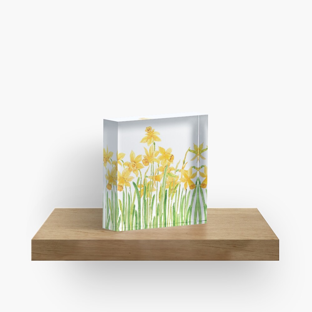 yellow daffodils field watercolor Acrylic Block