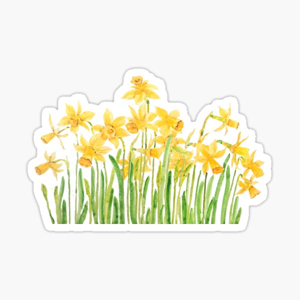 Beach Wildflowers Sticker Set, Four Vinyl Stickers: Beach Morninglory, –  Coyote Brush Studios