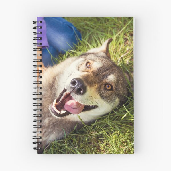Item preview, Siberian Husky dog Funny Portrait  designed and sold by CebotariN.