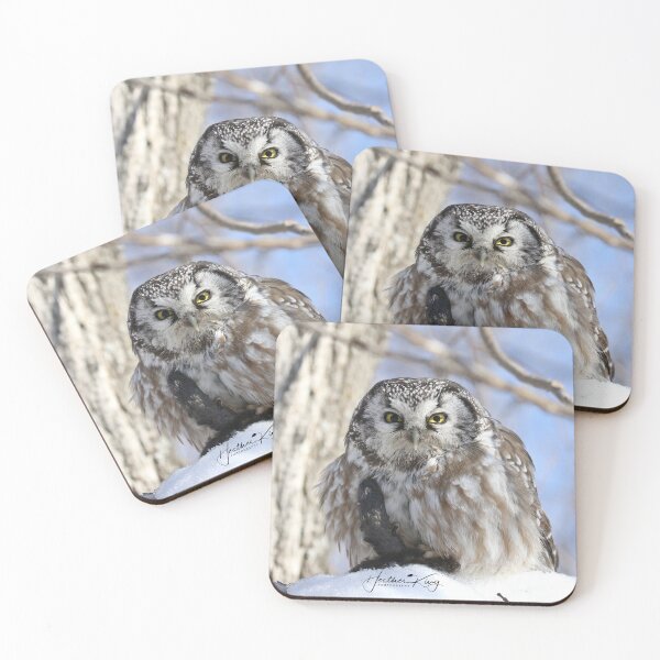 Item preview, Small owl HUGE pellet designed and sold by locustgirl.