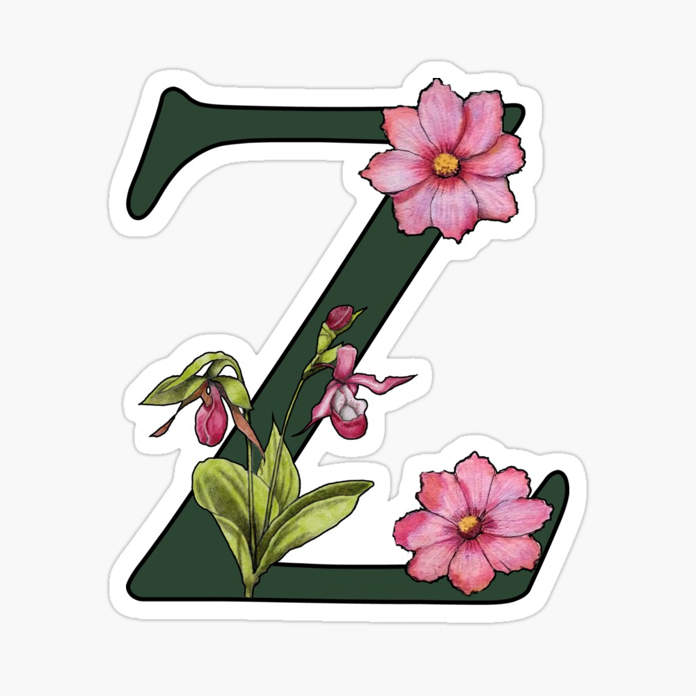 Funlucy Monogram Letter Z with Powder White Rose Floral Round Wood Clock  Initial Letter Z Wall Clock…See more Funlucy Monogram Letter Z with Powder