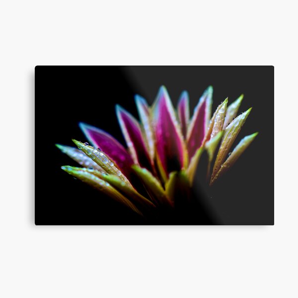 MY FAVORITE Metal Print